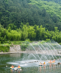 ��������Щ����ĵط���ȥ����Ͷ��ˣ�