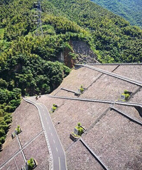 ����¶Ӫ����ã�����ר������