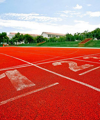 ������������Щֵ��һ��ĵط���