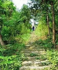 ������ɽ�ŵ������߹��ļ�����