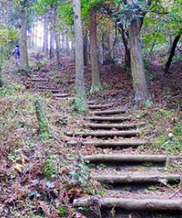 ������ɽ�ŵ������߹��ļ�����