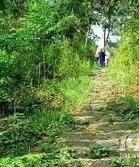 走在富阳的登山古道上