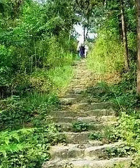 ���ڸ����ĵ�ɽ�ŵ���