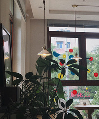 �������ճԱ����ԣ����������Ƽ�