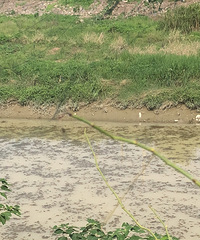 �ܱ�Ҳû����Ⱦ��ҵ��СԴϪ��ˮΪ�λ���������