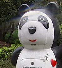 ����è�����������Ͱ��ʵ�ڲҲ��̶�