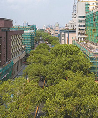 ��·�������崦���ڴ���԰��