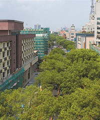 桂花路将设置五处“口袋公园”