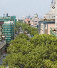 ��·�������崦���ڴ���԰��