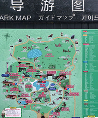 ����Ұ������԰���湥��