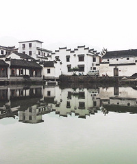 �������ϰ����ٵ�ǧ����򡪡����Ź���