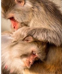 ����wanghong����򿨹��Ժϼ�����ĩ����ȥ�濩��