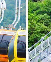 ��������wanghong�򿨹��� ��ȫ�ϼ�