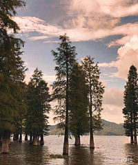 �����ܱ����Ƽ��������پ���������Ҧ��С�½���