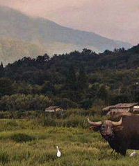 �����ܱ����Ƽ�������Ҧ��С�½���