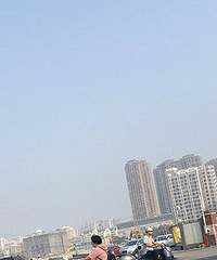 ����ï��������Ҫ��ʲô��