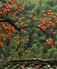 ���ݵ������������ˣ�������ô������Խ������