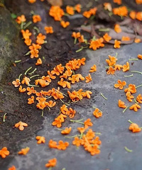 ���ݵ������������ˣ�������ô������Խ������