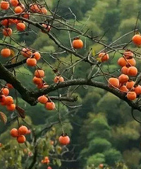 �������ˣ�������ô������Խ�������