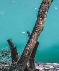 ����Ҳ�о�կ��������ɫˮ��̫���ˣ�