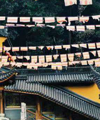 ����С�������ճ��Ƽ� ������ϲ��