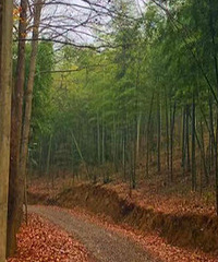 �����ֳ����ﶬҲ�к÷羰