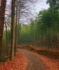 长乐林场,秋冬也有好风景