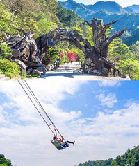 ʮһȥ�Ķ��������㽭С�����ε��Ƽ�