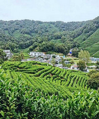 杭州最美爬山路线——十里琅珰