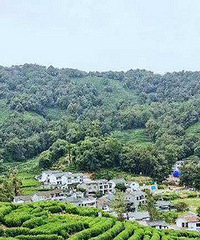 ����������ɽ·�ߡ���ʮ���ū�