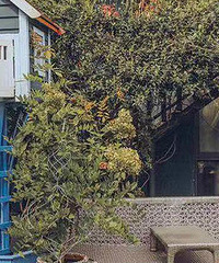 �����Ե˻�԰�����밮��˿�����ɾ�