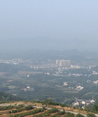 �µ����ɽ������������