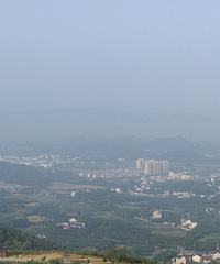 �µ����ɽ������������