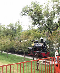 ����֮��С���Ѻʹ����ѵĺ�ȥ����С�ڲ�����빫԰�ϼ�