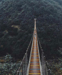 诸暨香榧森林公园,山顶索桥小众景点