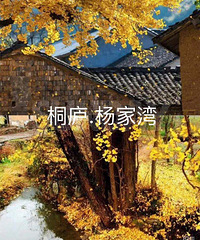 �ﾰ�续�������ܱ������ȥ�����������ﾰ��������ˣ�