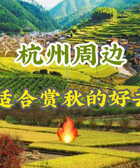 杭州周边赏秋好去处,最美秋景都在这