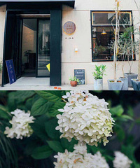 �����������ʥ�أ���Ӱû����ô�ѡ������źʹ�԰