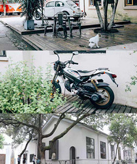 �����������ʥ�أ���Ӱû����ô�ѡ������źʹ�԰