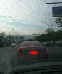 ����·�����Ͼ��������ת��߷��ų��ӳɳ�̬