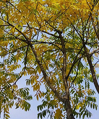 �ҵ���Ӱ��Ʒ������������