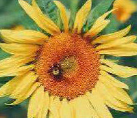 ��������ʱ������ʮ������򿨵�����