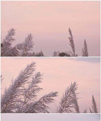 �㽭7��������«έ�����������˵��ﾰ~