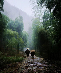 �������㽭��ֵ��һȥ��7������ֵ�ŵ����Ҹ�������ͽ��ȥ��