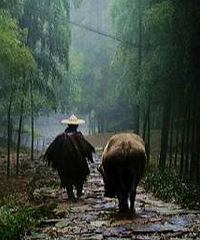 ��������ֵ��һȥ��7������ֵ�ŵ�