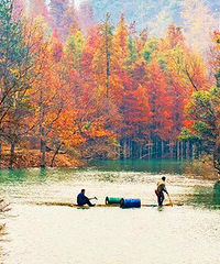 ��Щ�ط�Ũ�����㽭��Ũ�ҵ���ɫ��