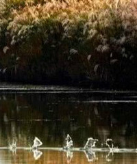 �ﶬ���������ˣ�����ȥ������ѩ����