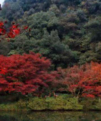 ����������ֵ��ȥ���㶼�����