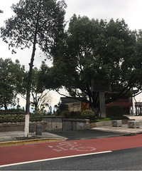 ������ͷ���̵ƿڣ���Ȼ������һ�����ŵĽ����ˣ�