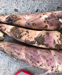 ���� �Լҵ�